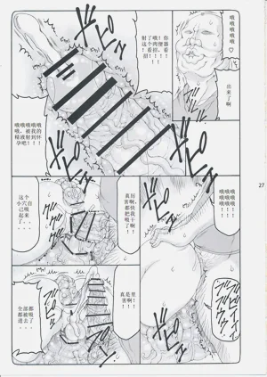 第335頁圖