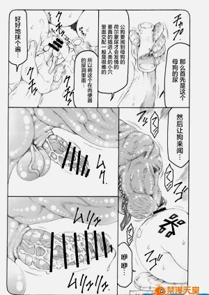第343頁圖