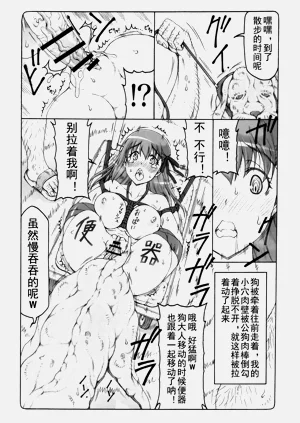 第384頁圖