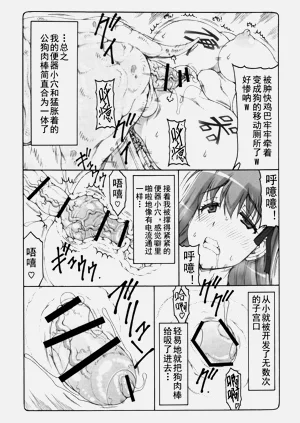 第385頁圖