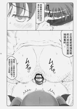 第433頁圖