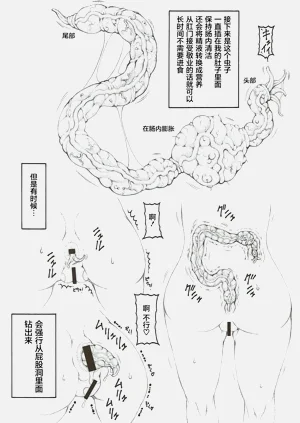 第450頁圖