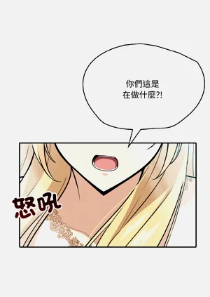 第39页图