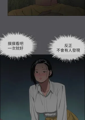 第223頁圖