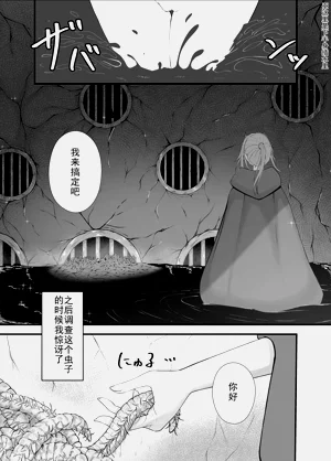 第11页图