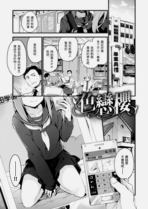 第41頁圖