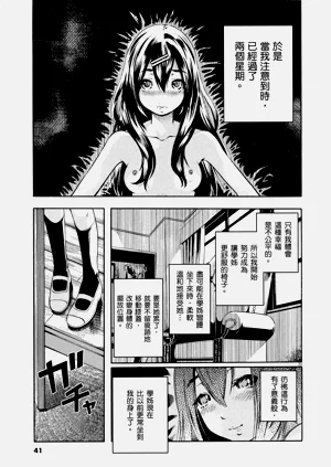 第42頁圖