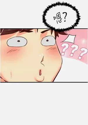 第204頁圖