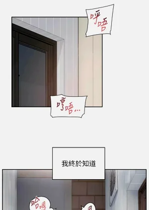第194頁圖