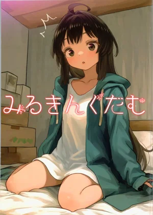 妹プログラム圖