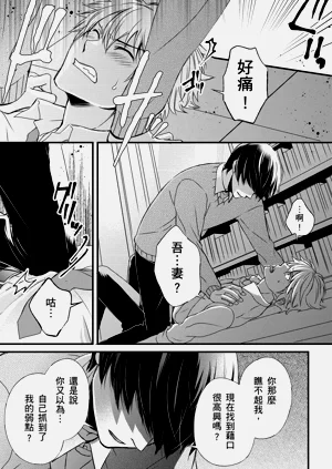 第240頁圖