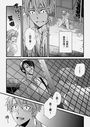 第254頁圖