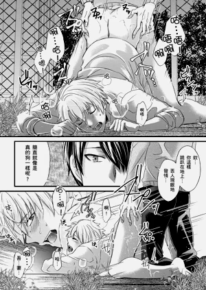第260頁圖