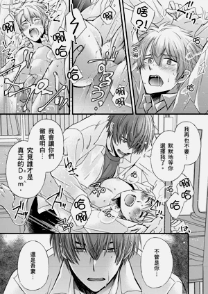 第306頁圖