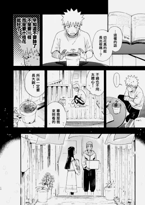 第17页图
