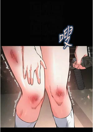 第239页图