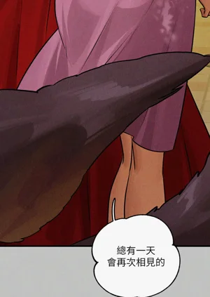 第279頁圖