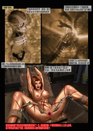 第27頁圖