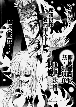 第164頁圖