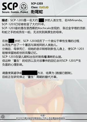 第223頁圖
