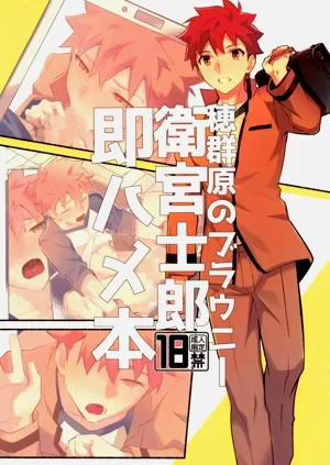 穗群原的布朗尼衛宮士郎立刻做愛本圖