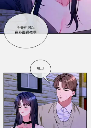 第41頁圖