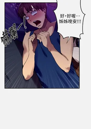 第501頁圖
