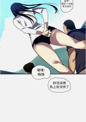 第520頁圖
