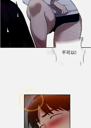 第556頁圖