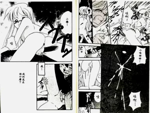 第43頁圖