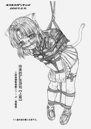 第28頁圖