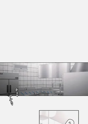 第251页图