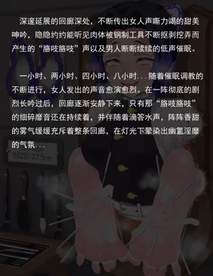 第244页图