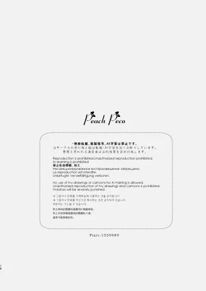 第78頁圖