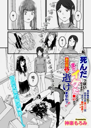 第4页图