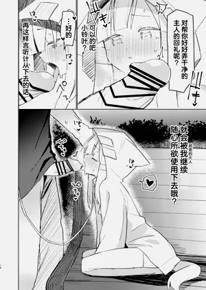第17页图