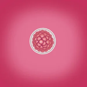 第39頁圖