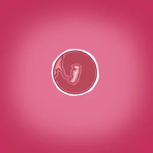 第43頁圖