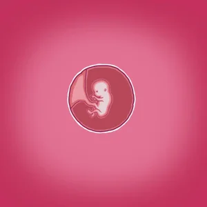 第88頁圖