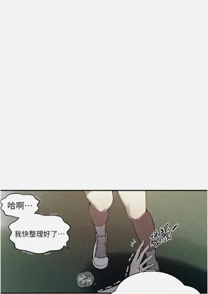 第559頁圖