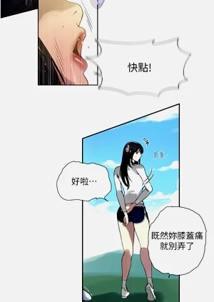 第565頁圖
