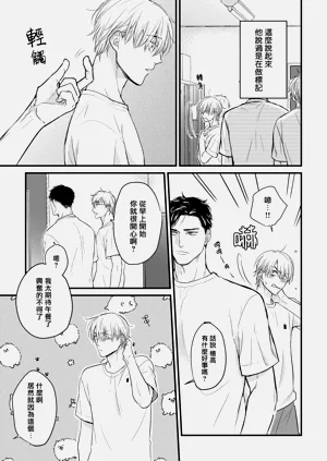 第204页图