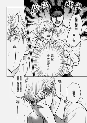 第491页图