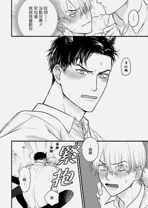 第531页图