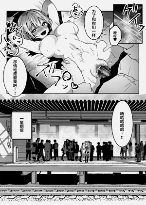 第17页图