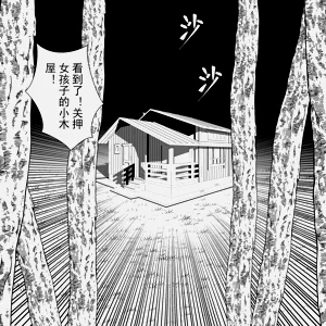 第29页图