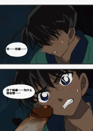 第239頁圖