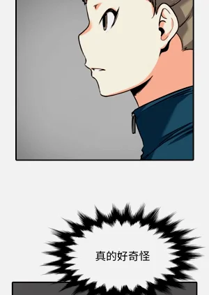 第296頁圖