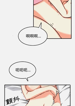 第305頁圖