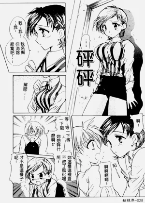 第29頁圖